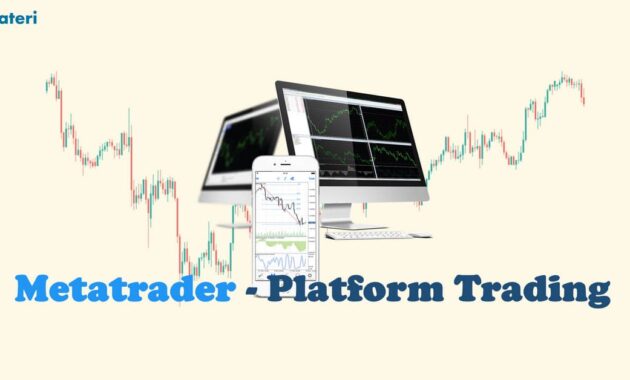 Metatrader Platform Trading