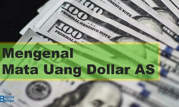 Mengenal Mata Uang Dolar AS