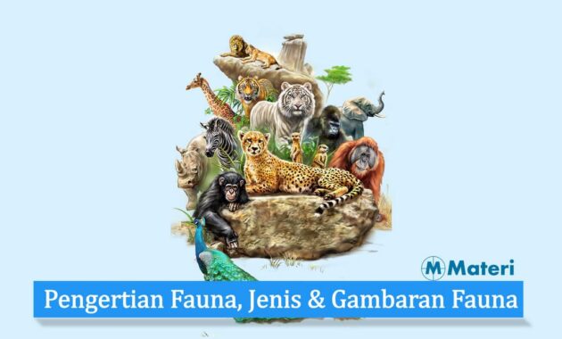 Pengertian Fauna, Jenis, Gambaran Fauna